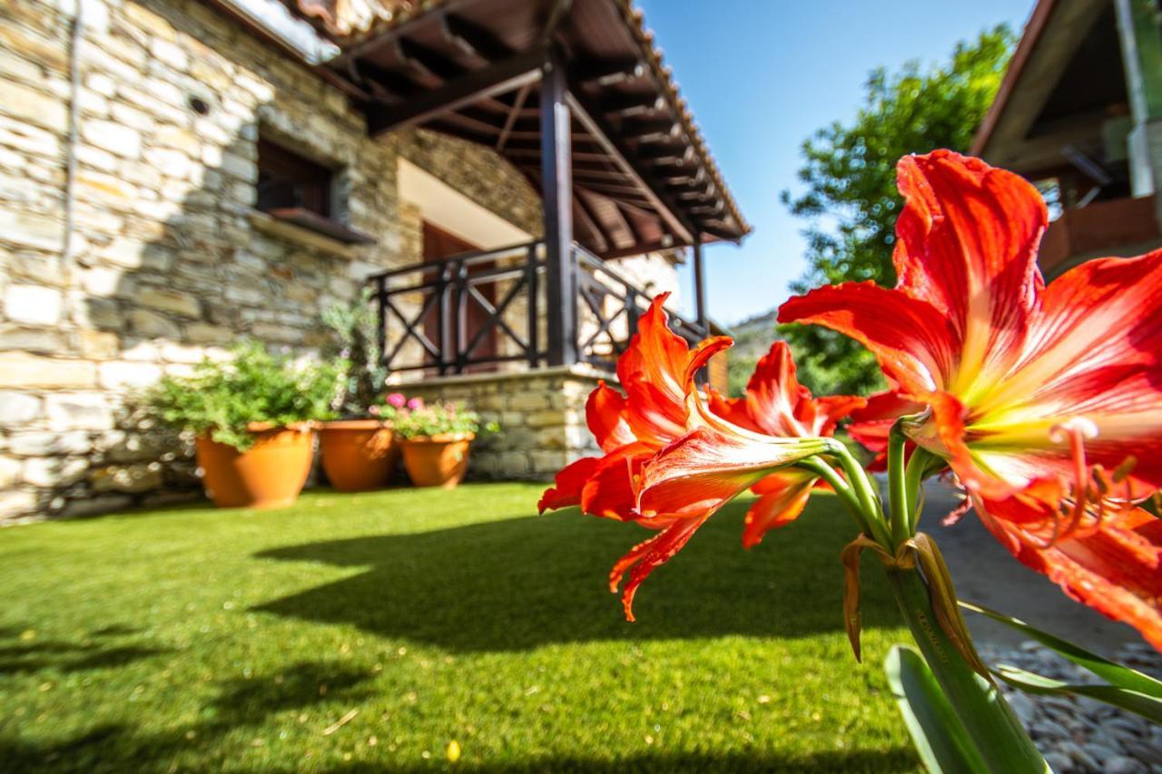 Lefkara Villa Kato Lefkara Extérieur photo
